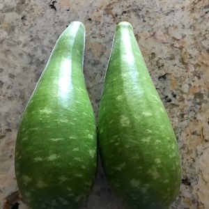 Meet your Posher, Thy